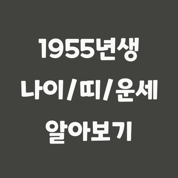 1955년생 나이, 2024년 기준 70세