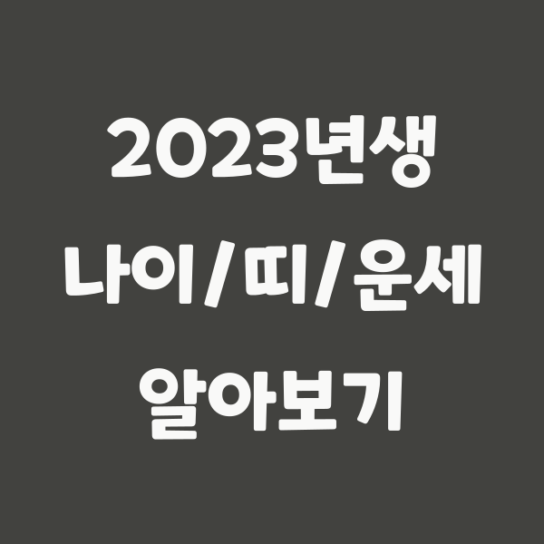 2023년생 띠 정보 - 토끼띠