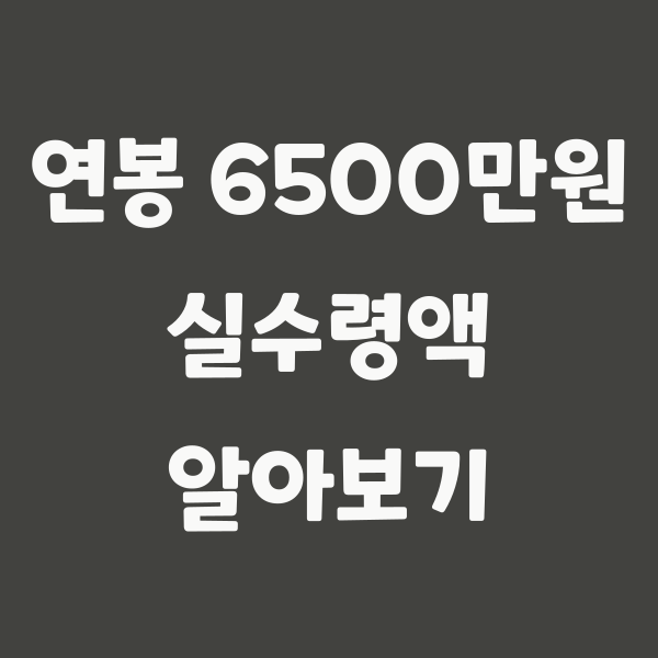 2022년 기준 연봉 6500만원 실수령액 계산기